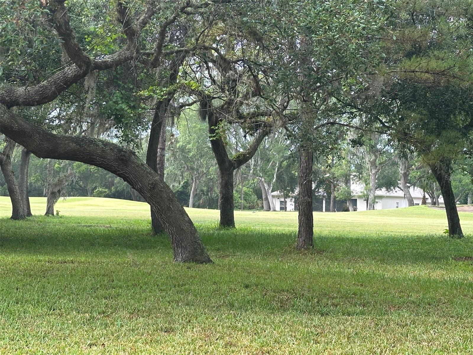 1333 KILLBRICKEN CIR, ORMOND BEACH, FL, 32174