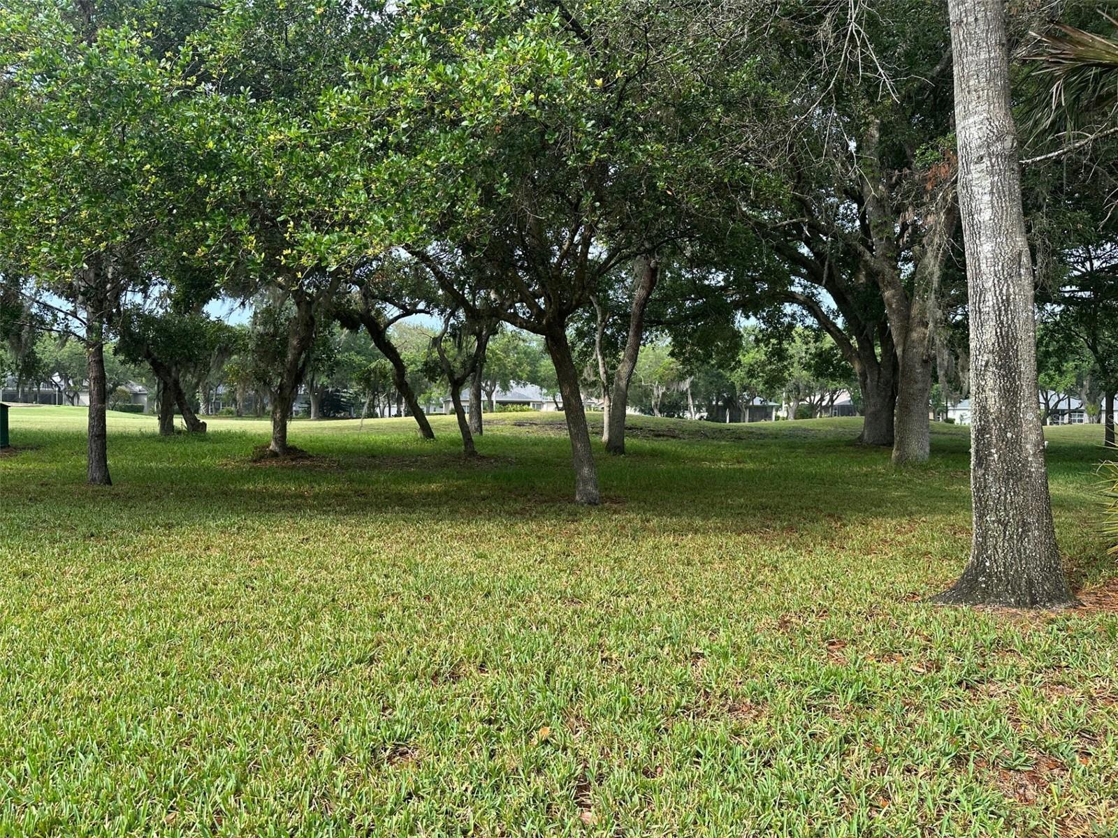 1333 KILLBRICKEN CIR, ORMOND BEACH, FL, 32174