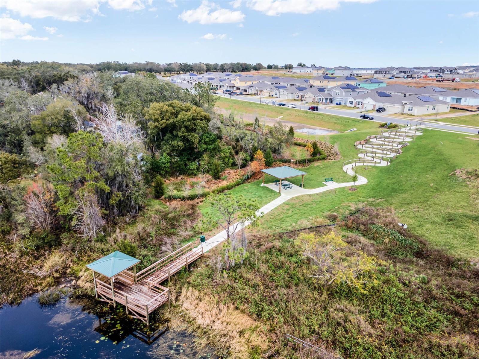 6816 PERCH HAMMOCK LOOP, GROVELAND, FL, 34736