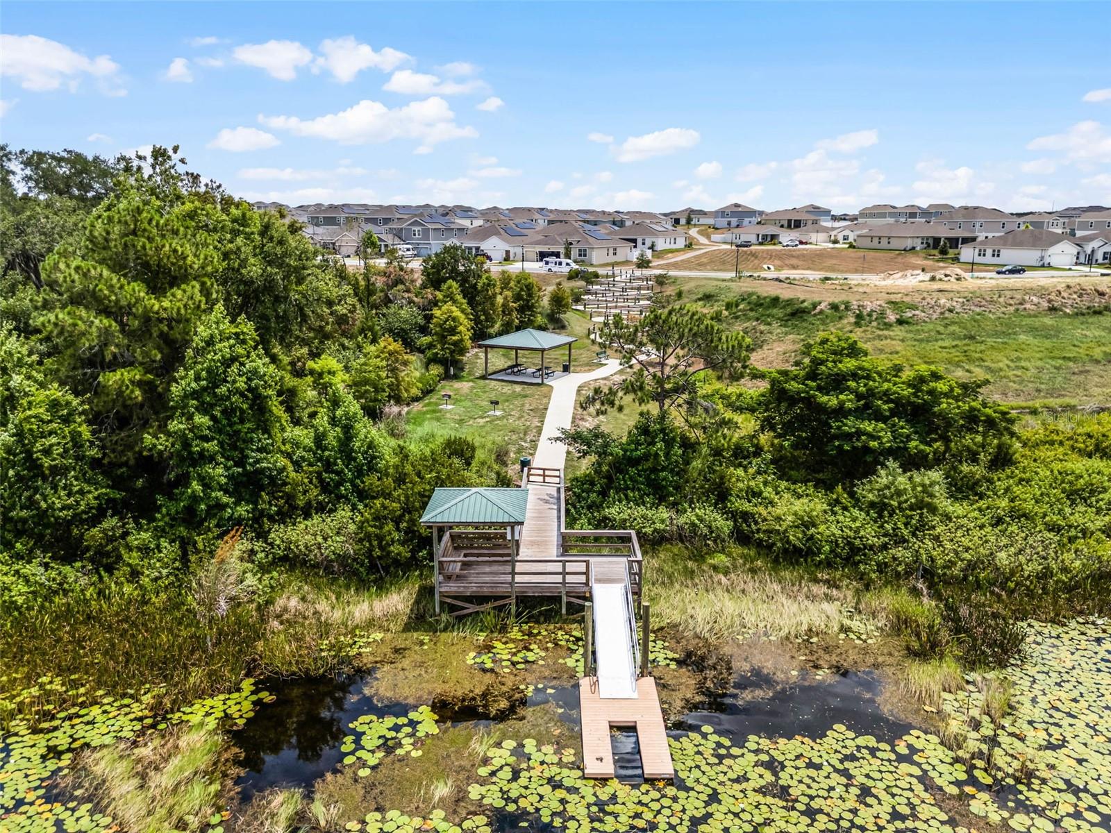 6816 PERCH HAMMOCK LOOP, GROVELAND, FL, 34736