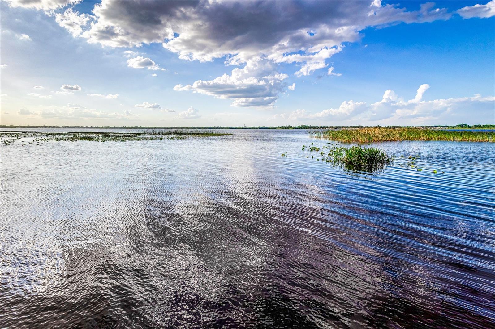 L4952803 Property Photo