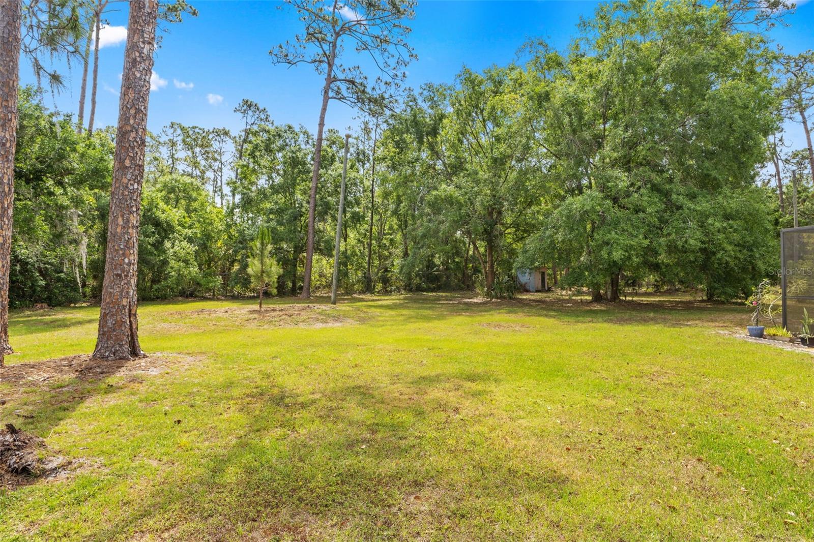 495 APPALOOSA RD, TARPON SPRINGS, FL, 34688