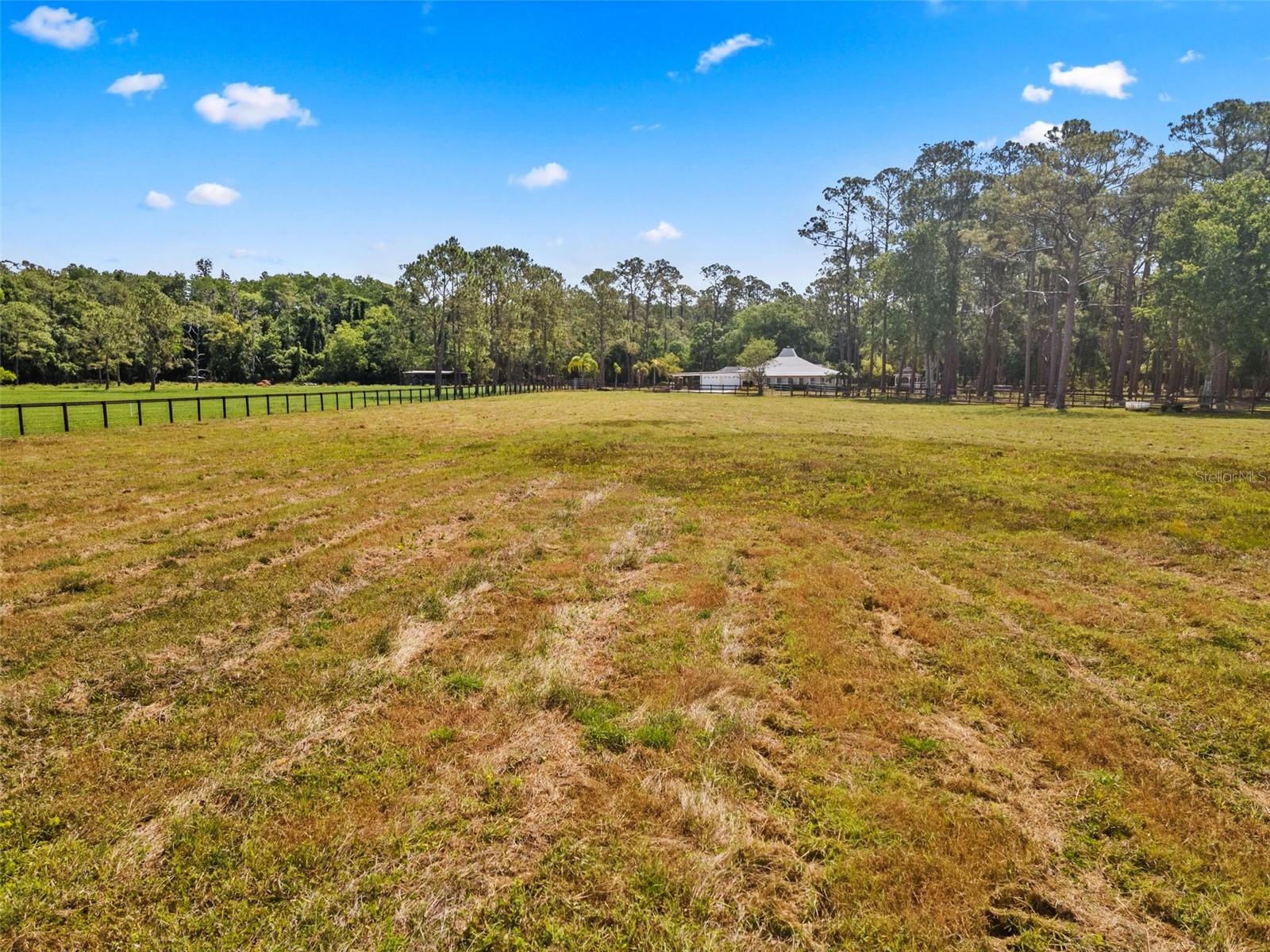 495 APPALOOSA RD, TARPON SPRINGS, FL, 34688