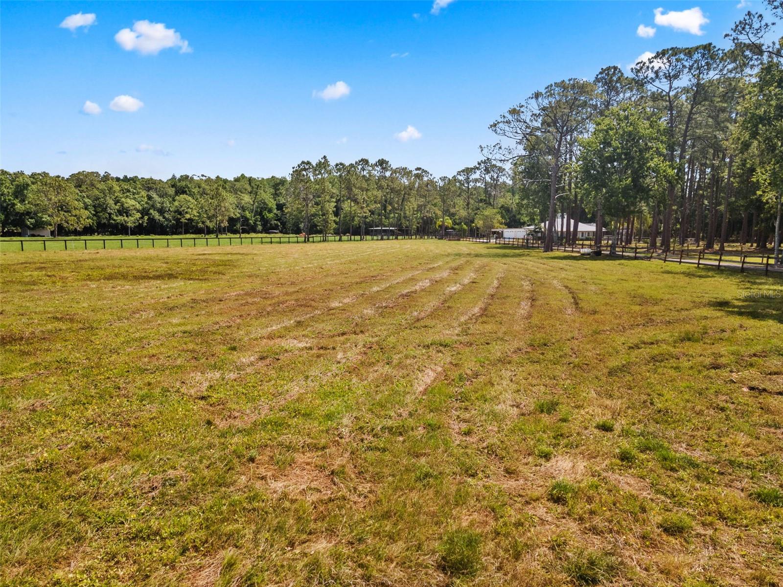 495 APPALOOSA RD, TARPON SPRINGS, FL, 34688