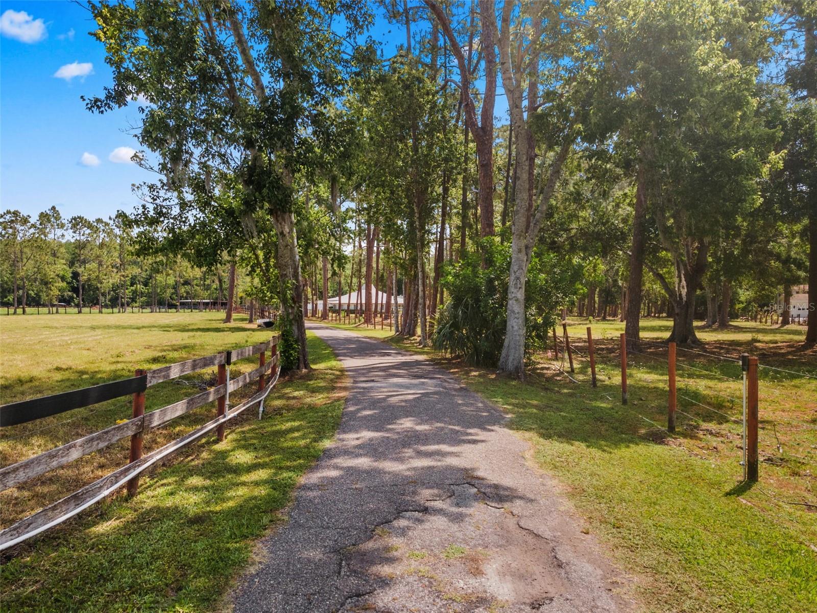 495 APPALOOSA RD, TARPON SPRINGS, FL, 34688