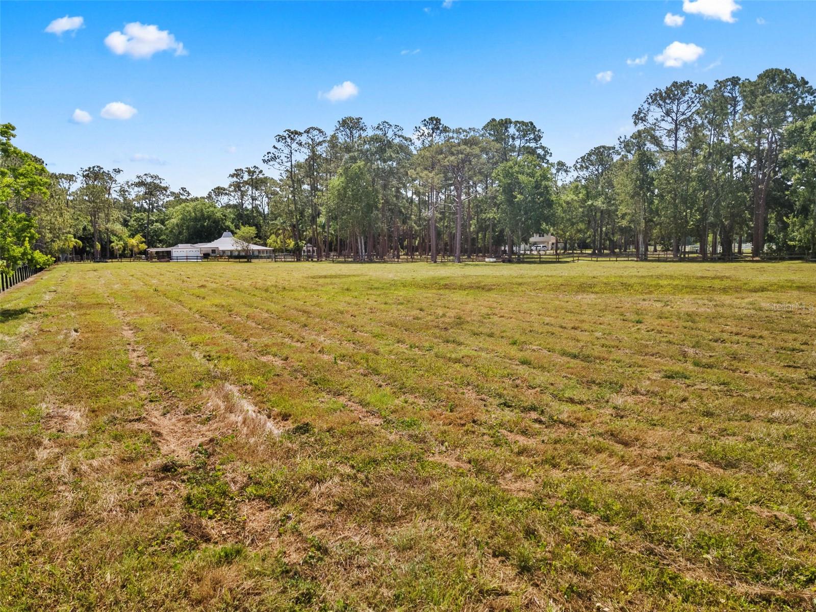 495 APPALOOSA RD, TARPON SPRINGS, FL, 34688