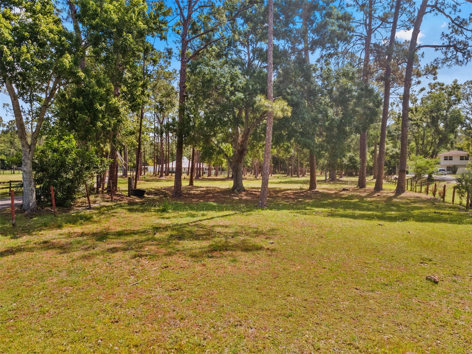 495 APPALOOSA RD, TARPON SPRINGS, FL, 34688