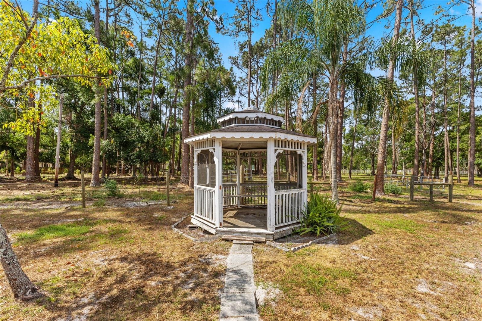 495 APPALOOSA RD, TARPON SPRINGS, FL, 34688