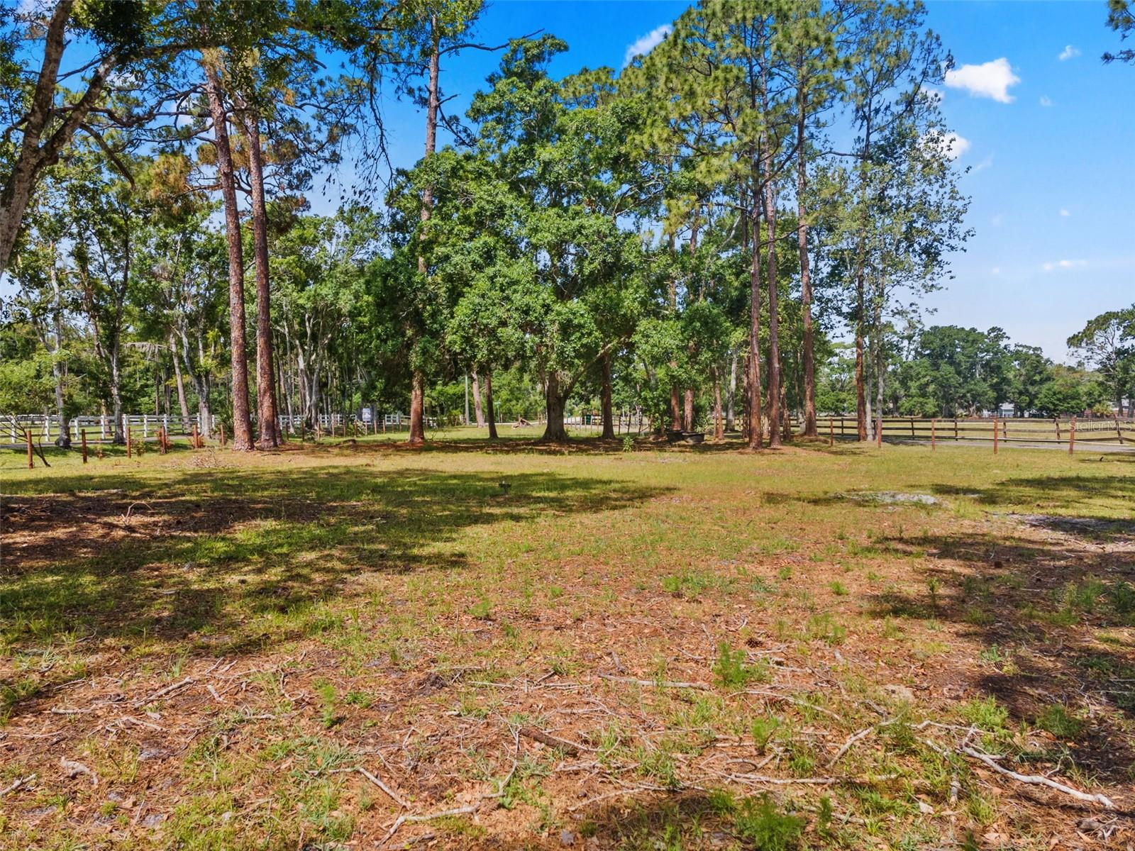 495 APPALOOSA RD, TARPON SPRINGS, FL, 34688