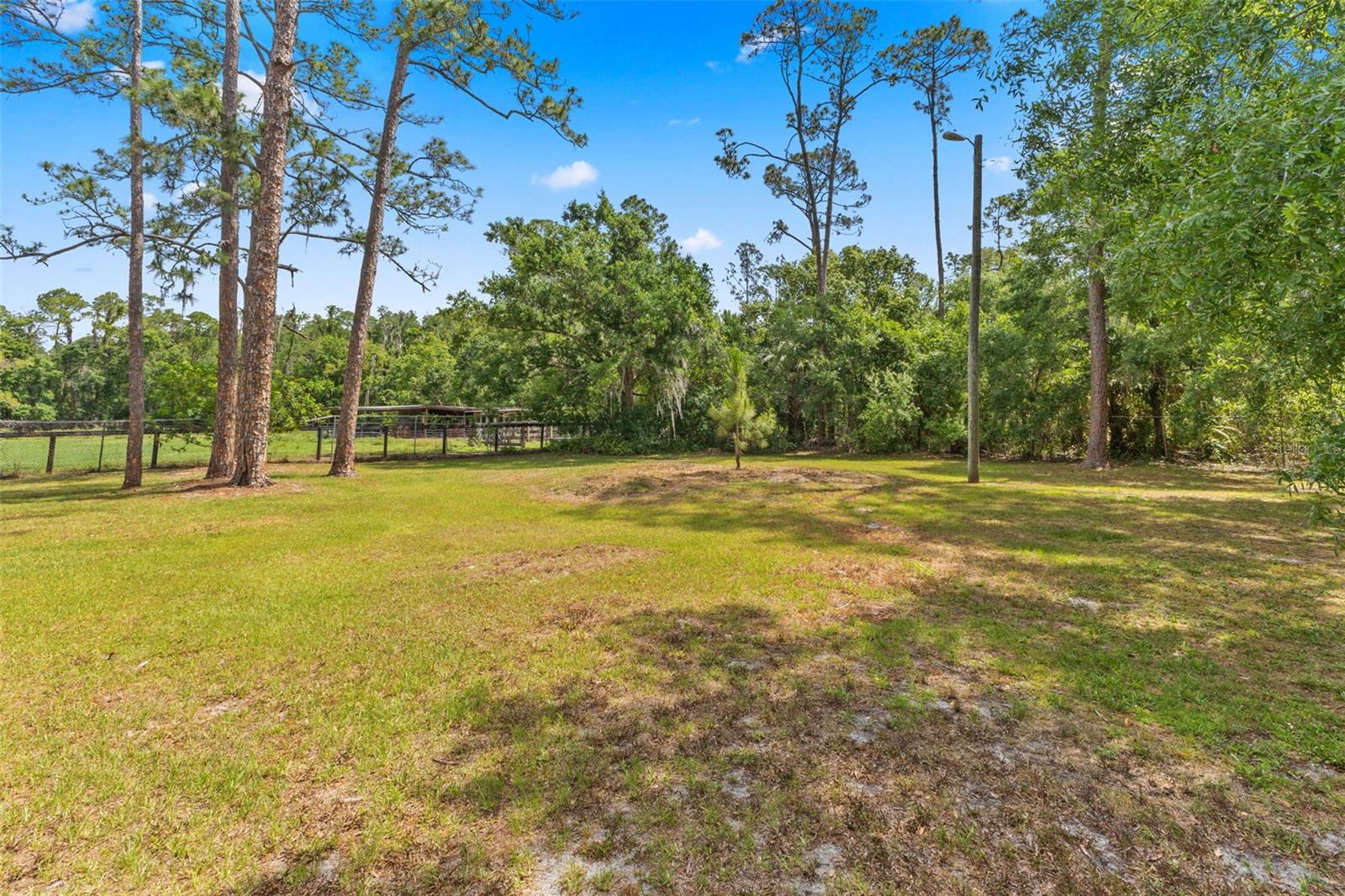 495 APPALOOSA RD, TARPON SPRINGS, FL, 34688