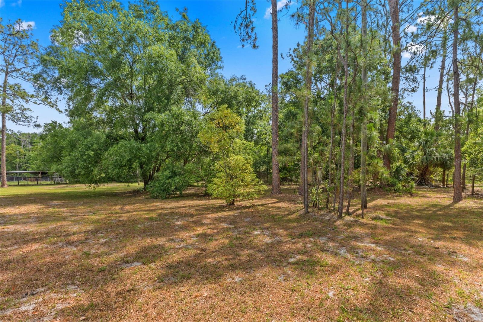 495 APPALOOSA RD, TARPON SPRINGS, FL, 34688