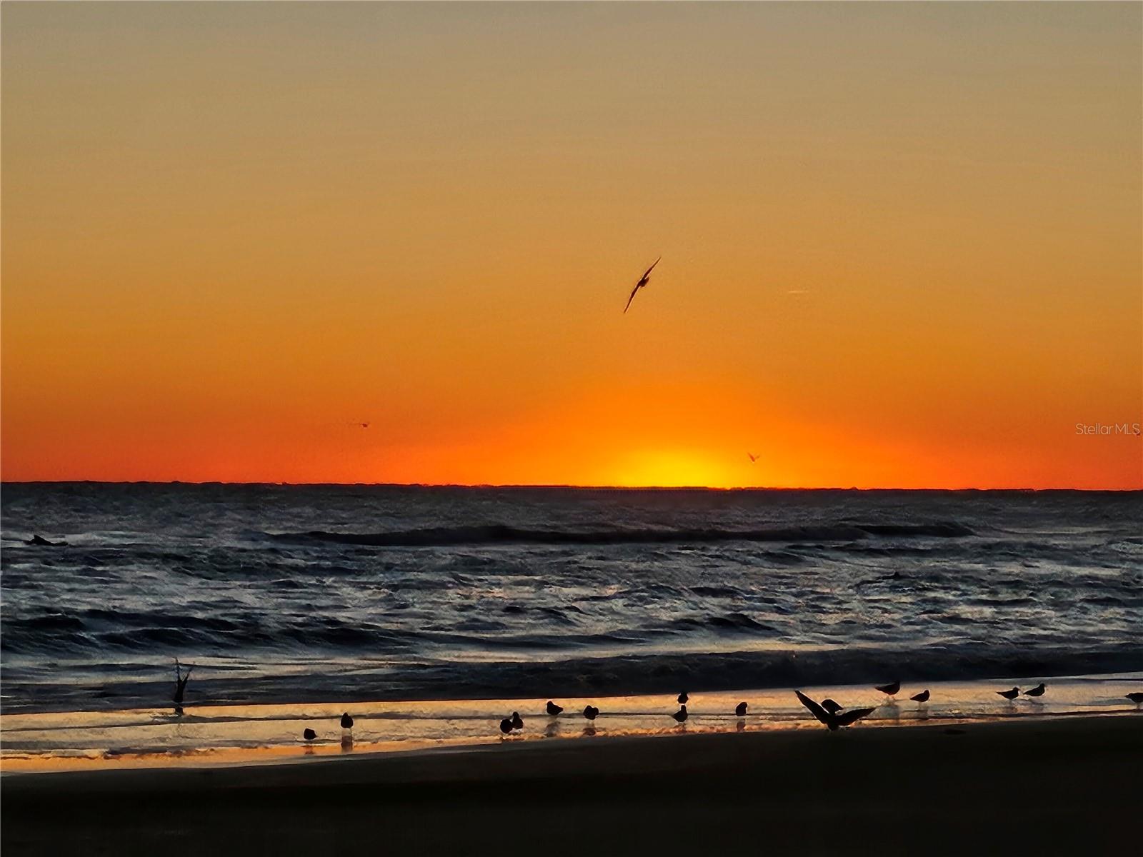 2 PIRATES CV, ORMOND BEACH, FL, 32176