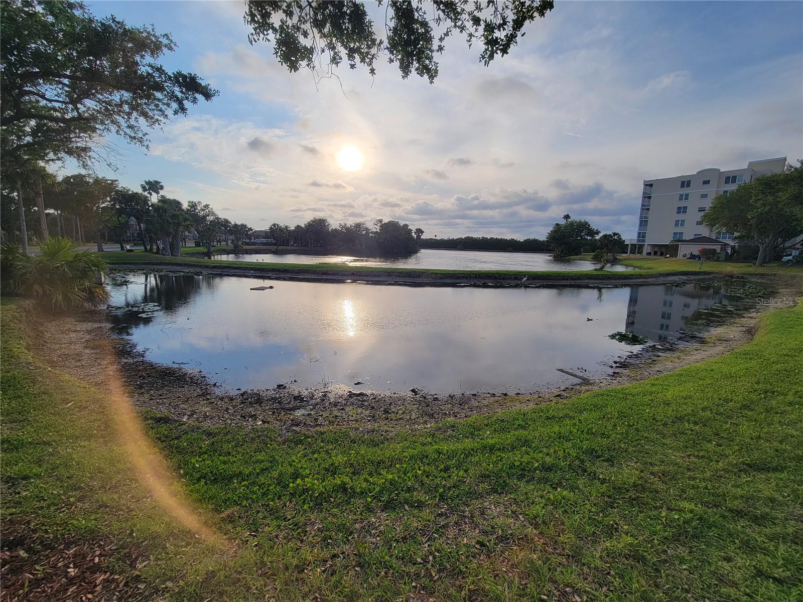6315 SHORELINE DR #3107, ST PETERSBURG, FL, 33708