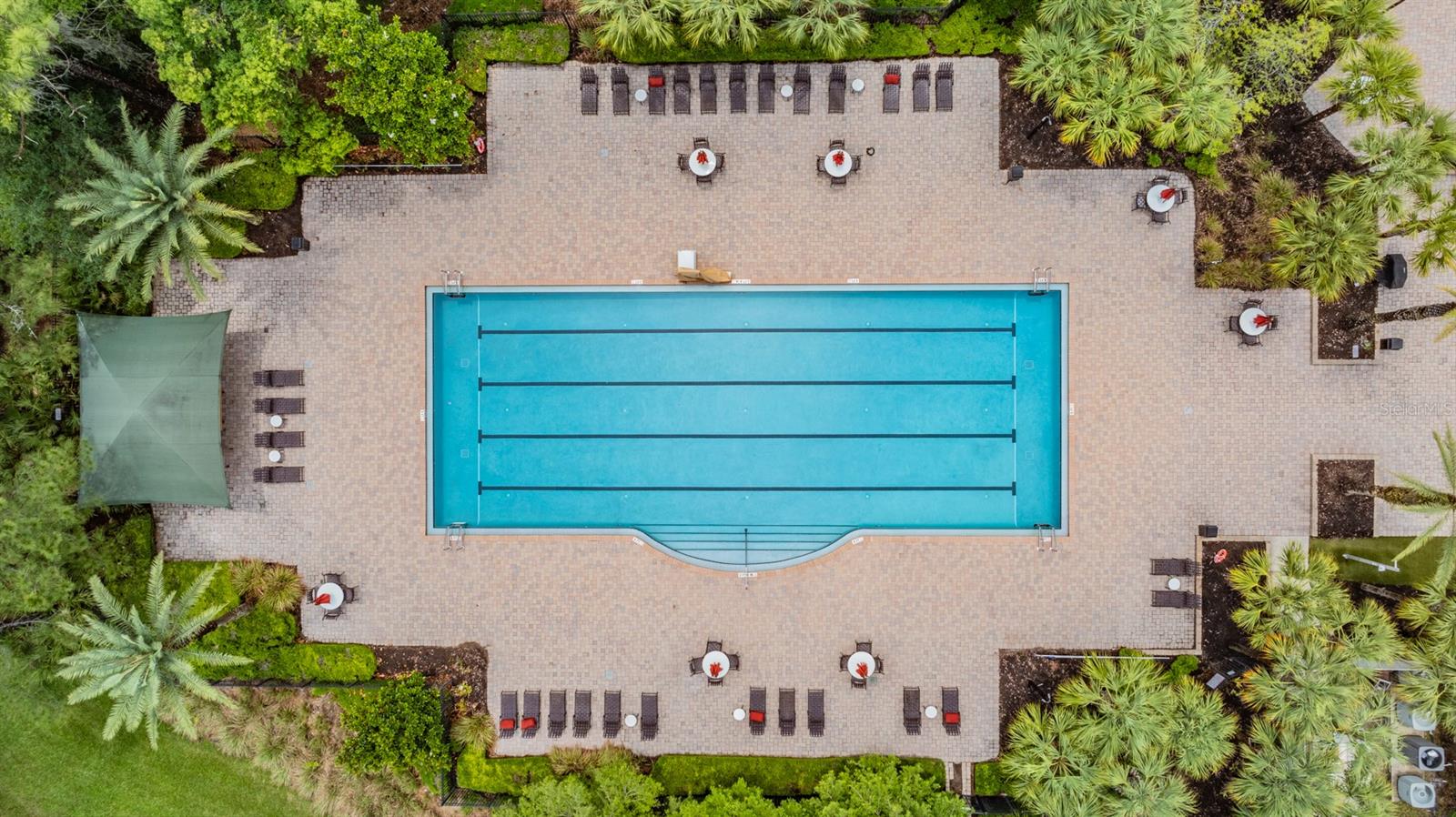 19608 LONESOME PINE DR, LAND O LAKES, FL, 34638