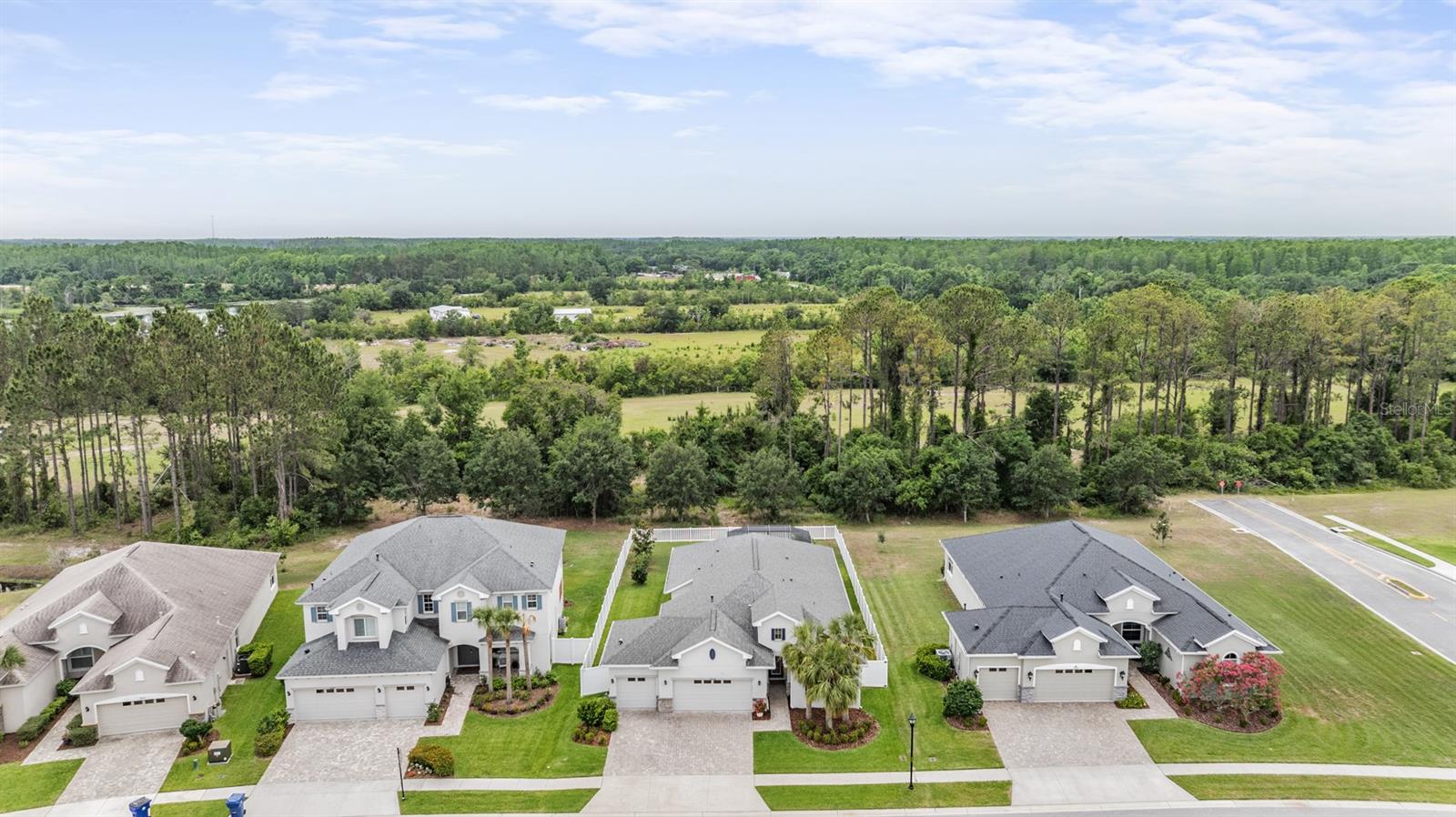 19608 LONESOME PINE DR, LAND O LAKES, FL, 34638