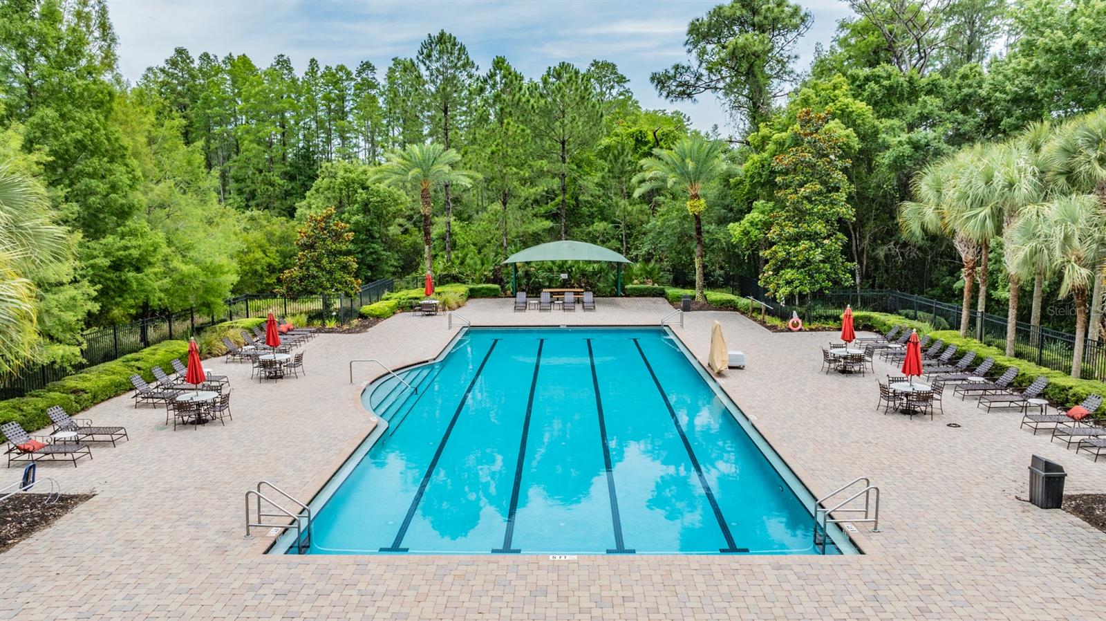 19608 LONESOME PINE DR, LAND O LAKES, FL, 34638