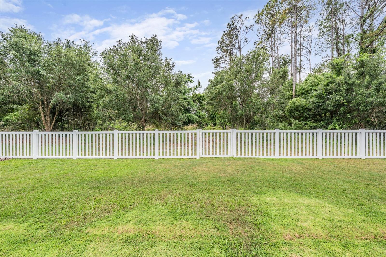 19608 LONESOME PINE DR, LAND O LAKES, FL, 34638