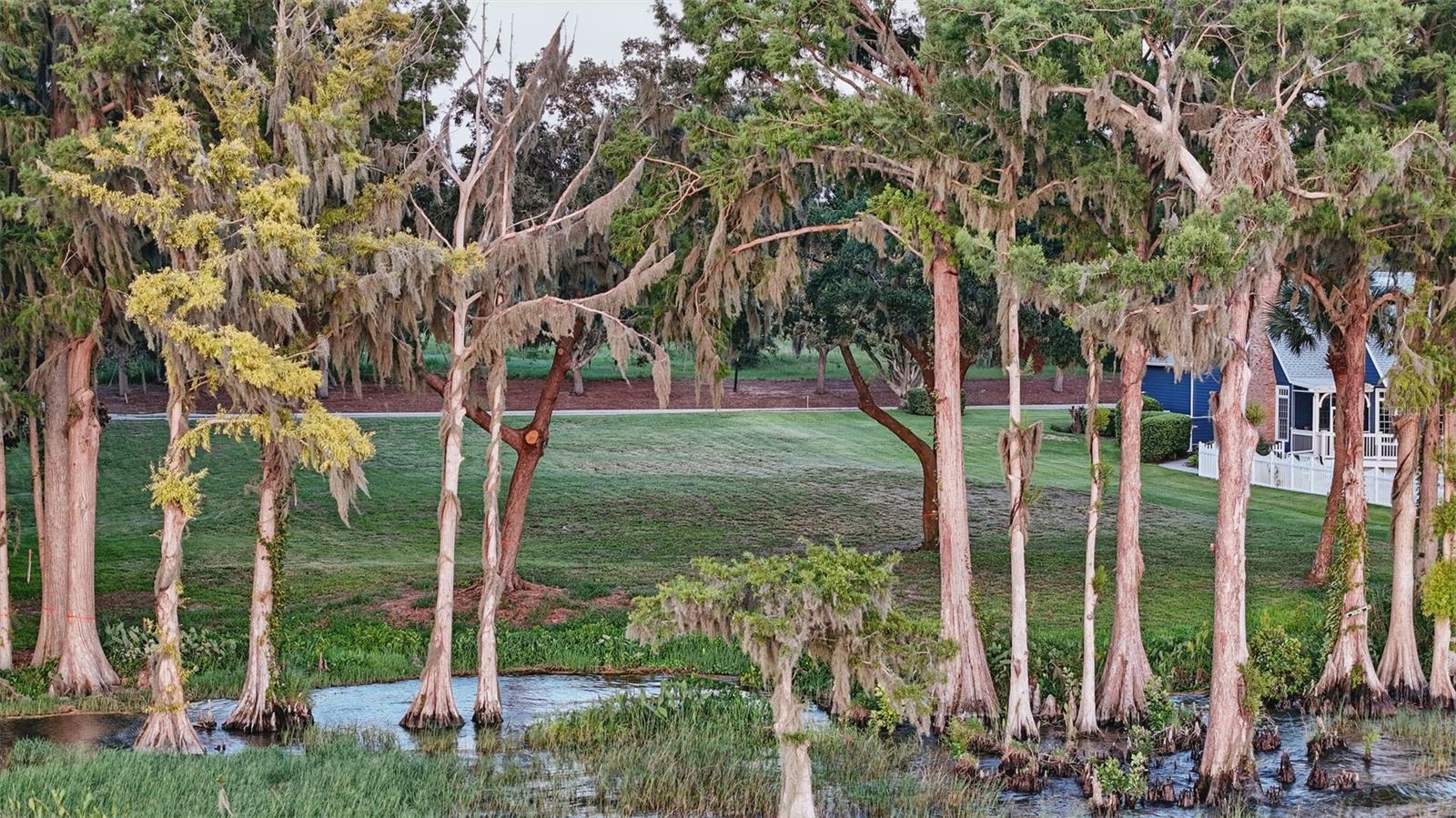 1150 PENINSULA DR, TAVARES, FL, 32778