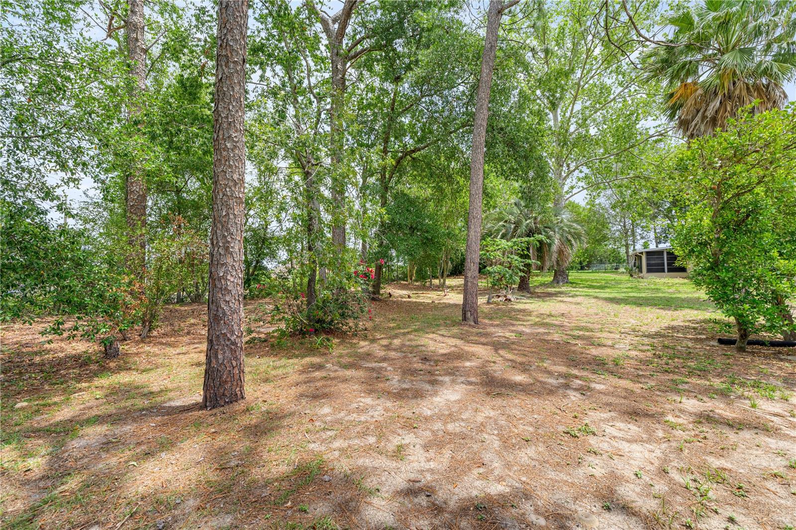 8449 SW 105TH PL, OCALA, FL, 34481