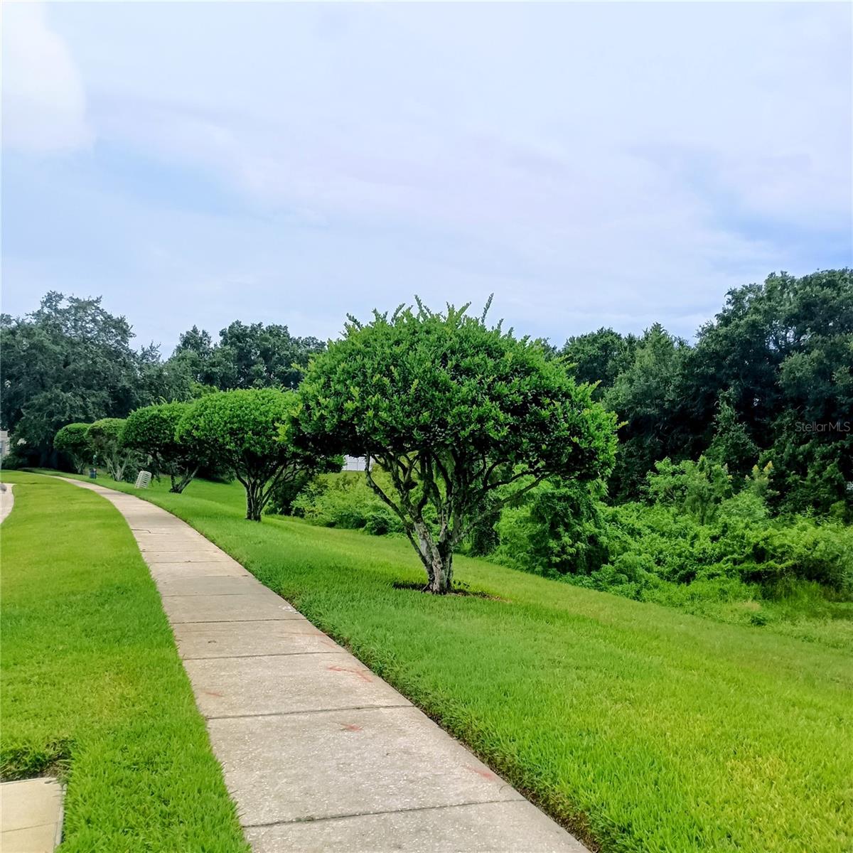 1240 FALCONCREST BLVD, APOPKA, FL, 32712