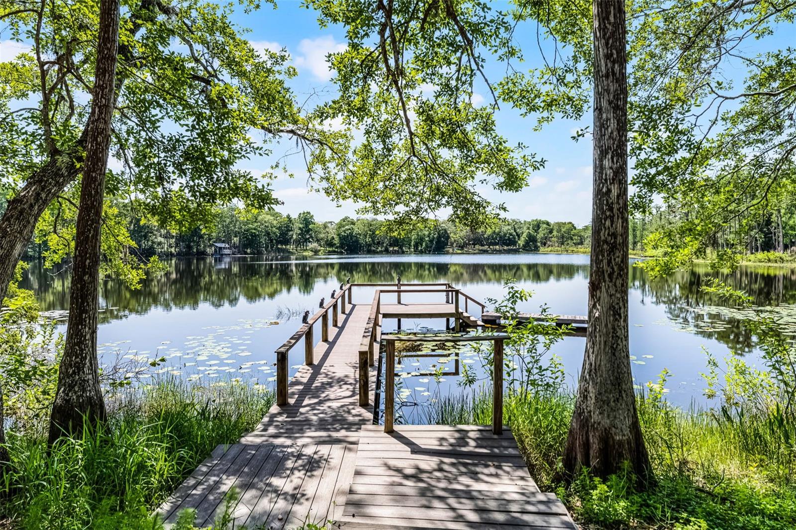 5655 OAK HOLLOW LN, OVIEDO, FL, 32765