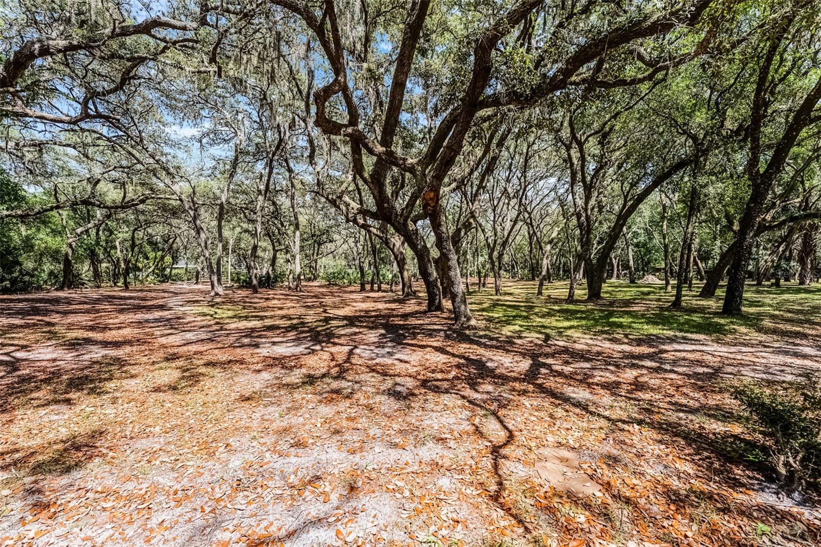 5655 OAK HOLLOW LN, OVIEDO, FL, 32765