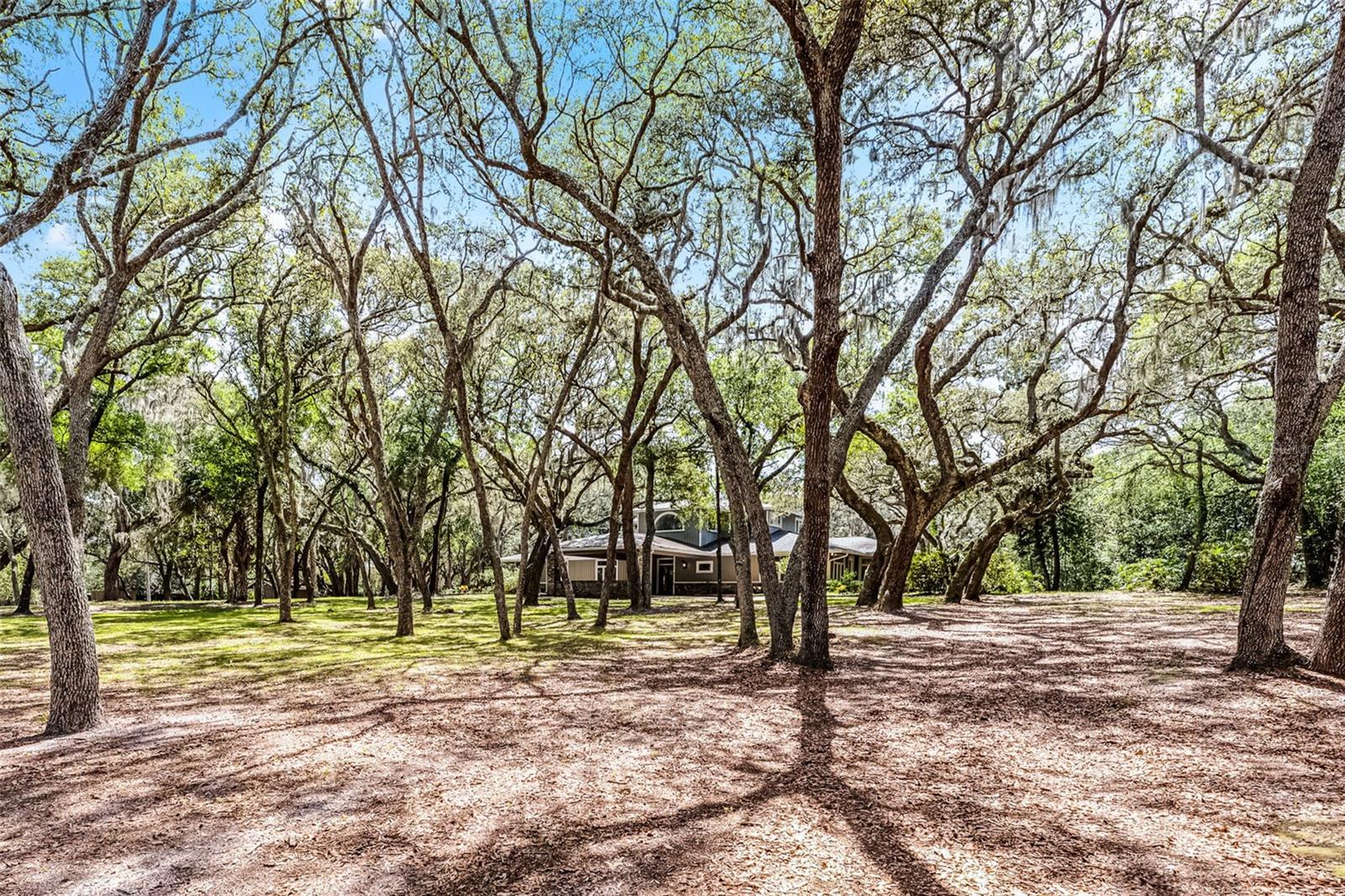 5655 OAK HOLLOW LN, OVIEDO, FL, 32765