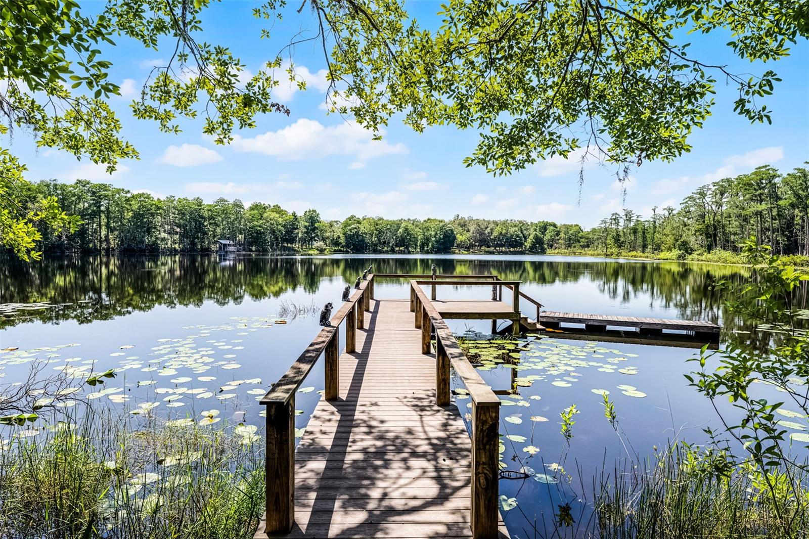 5655 OAK HOLLOW LN, OVIEDO, FL, 32765