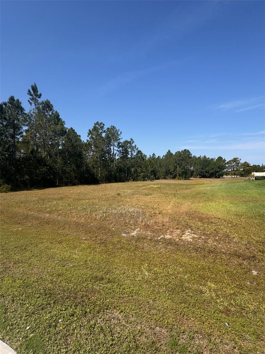 000 BANCROFT BLVD, ORLANDO, FL, 32833