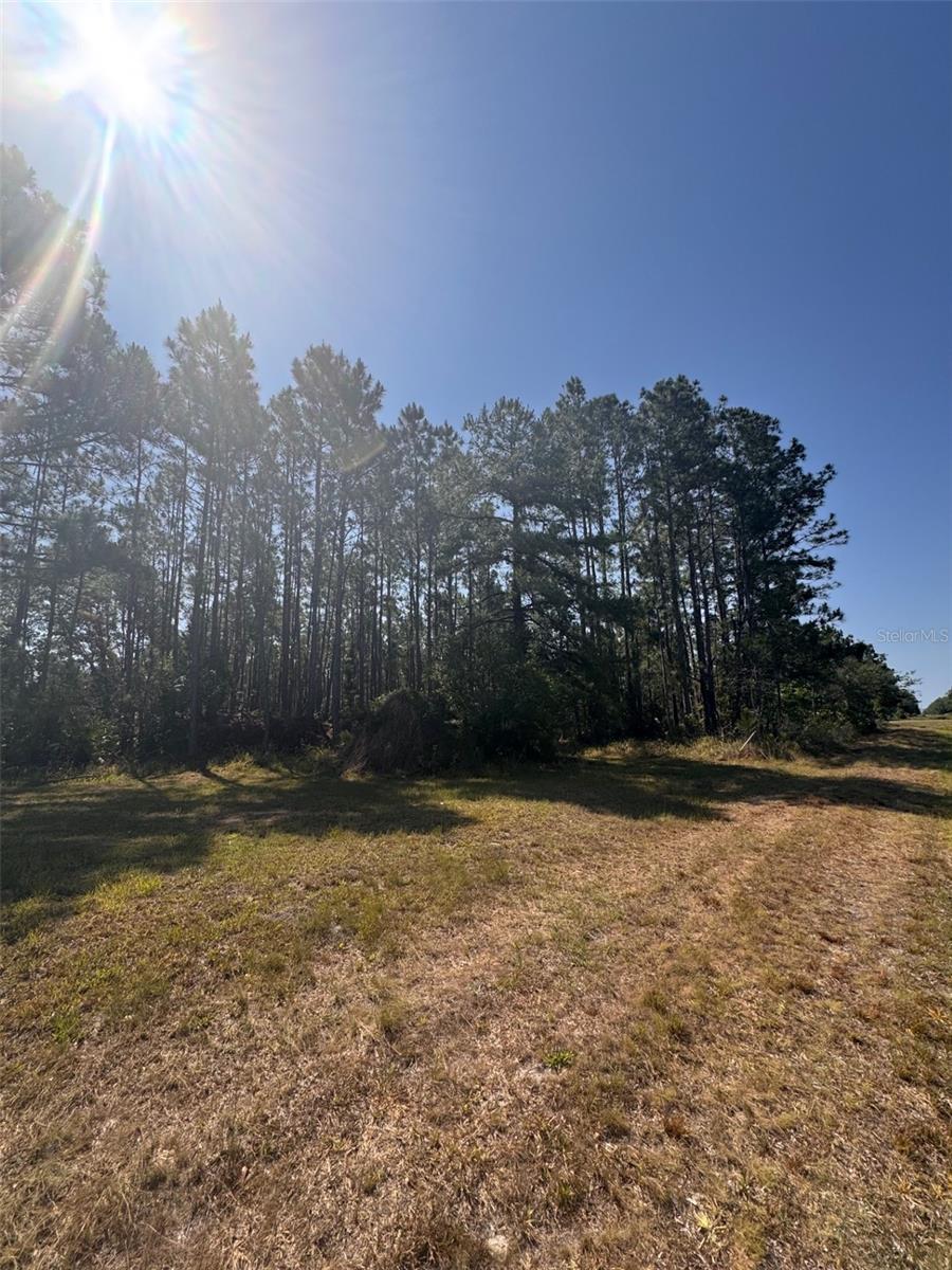 000 BANCROFT BLVD, ORLANDO, FL, 32833