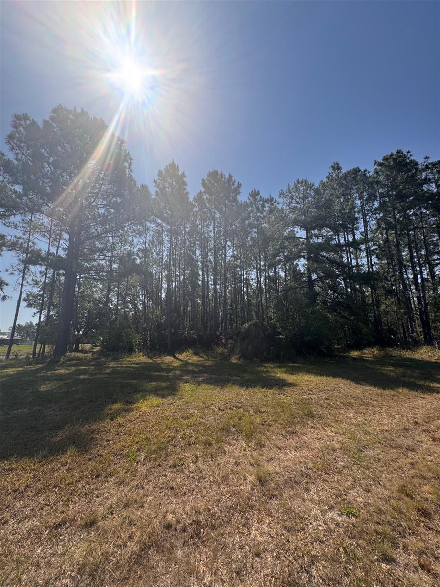 000 BANCROFT BLVD, ORLANDO, FL, 32833