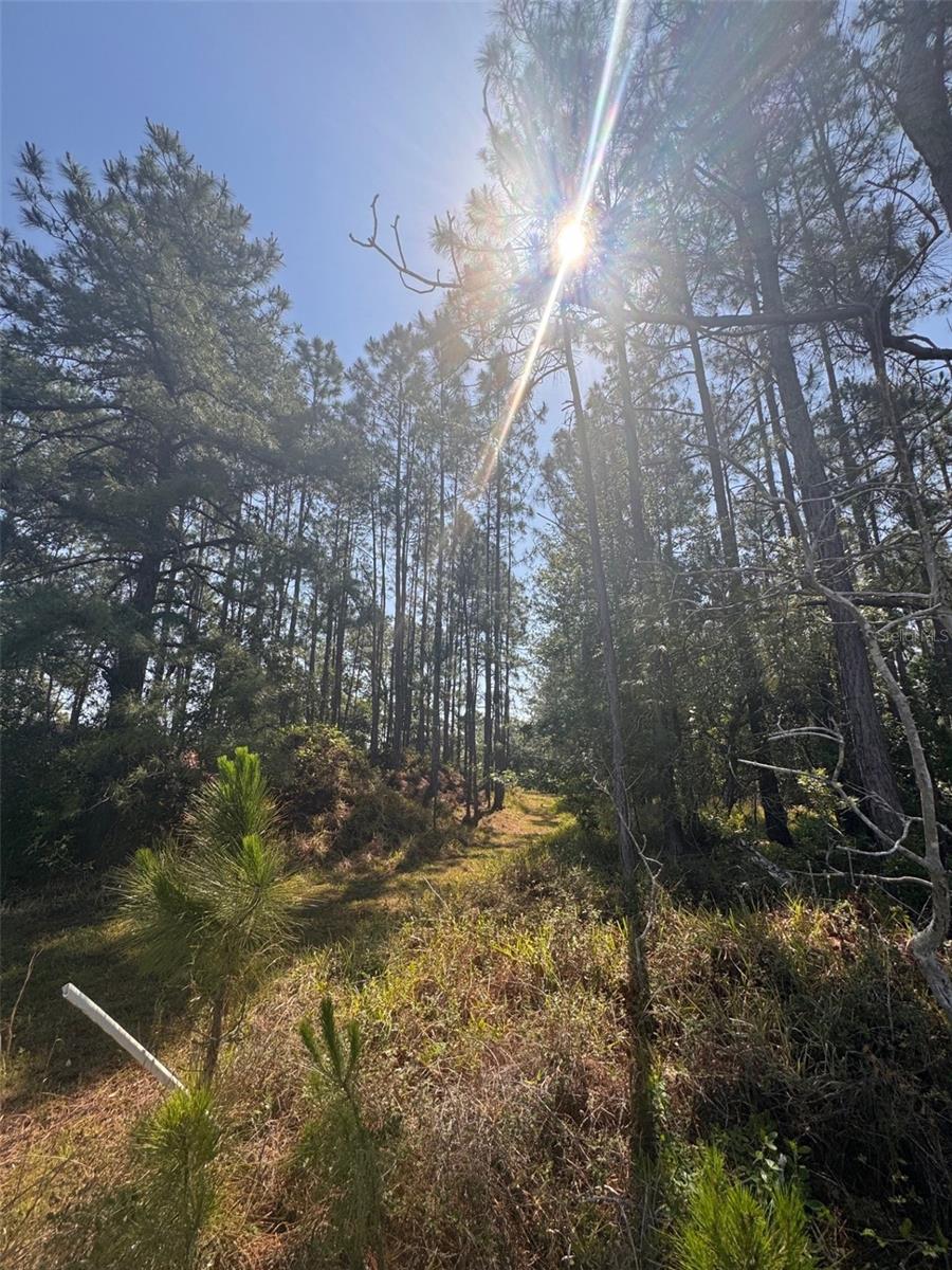 000 BANCROFT BLVD, ORLANDO, FL, 32833