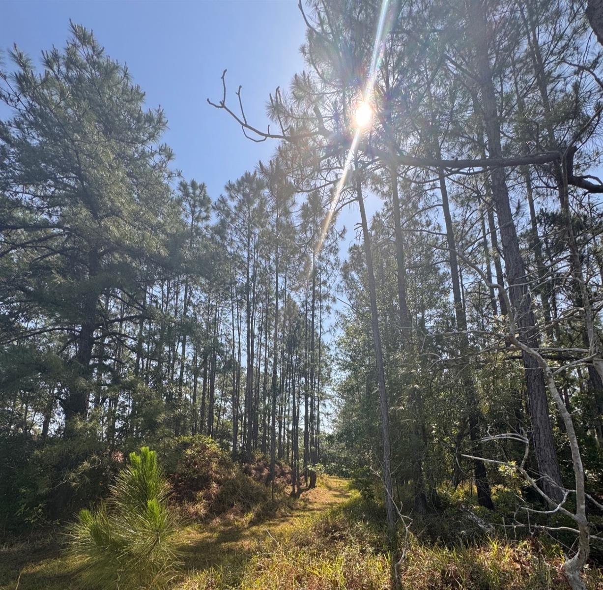 000 BANCROFT BLVD, ORLANDO, FL, 32833