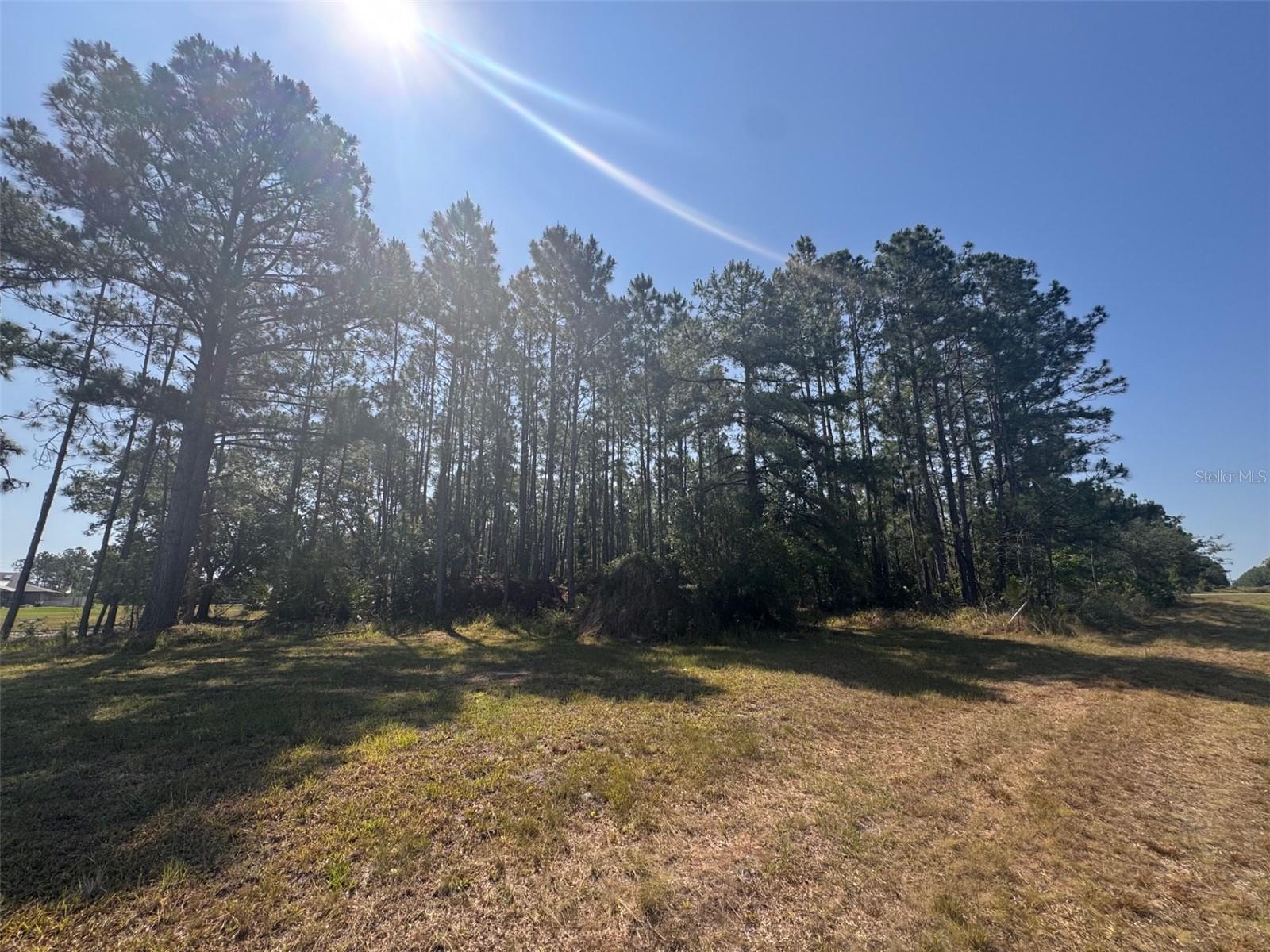 000 BANCROFT BLVD, ORLANDO, FL, 32833