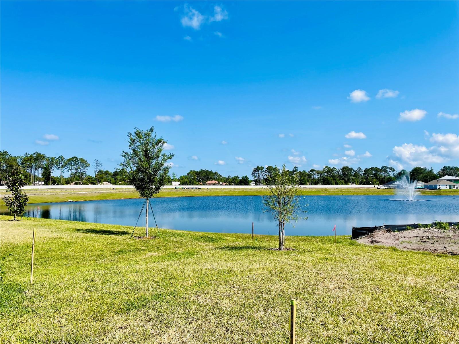 40 WILLOW ST, PALM COAST, FL, 32164