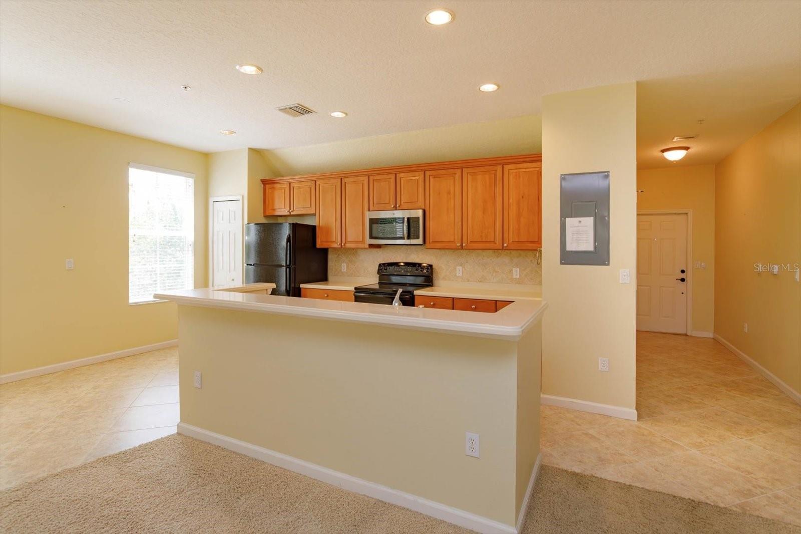 1630 COMMON WAY RD #203, ORLANDO, FL, 32814