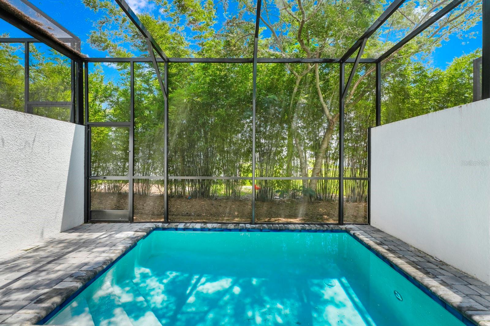 296 FAMAGUSTA DR, DAVENPORT, FL, 33896