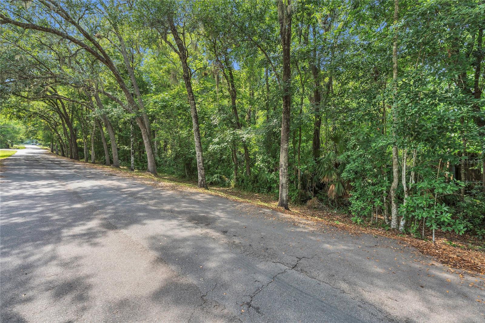 1002 BUIST ST, ORLANDO, FL, 32828