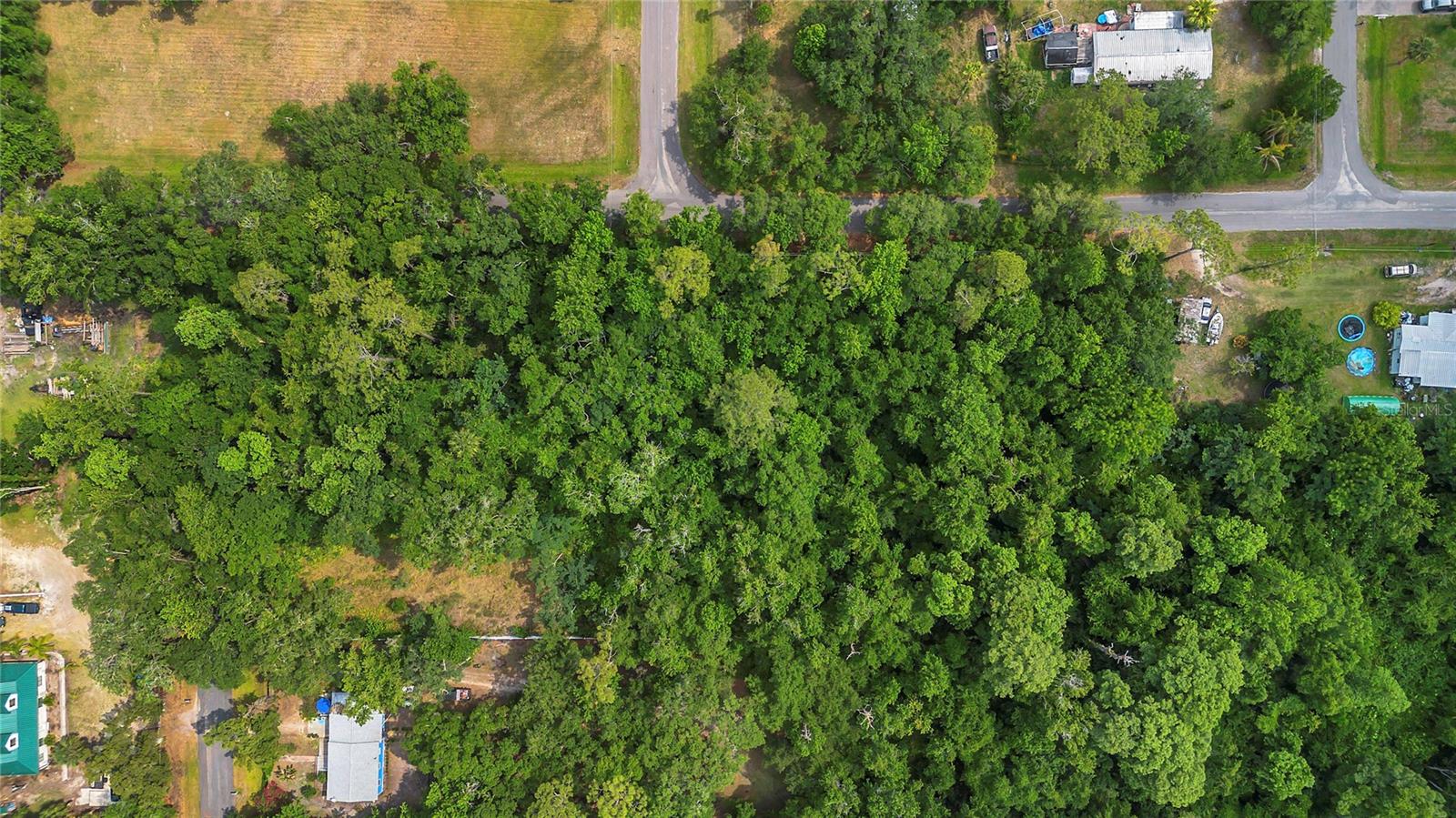 1002 BUIST ST, ORLANDO, FL, 32828