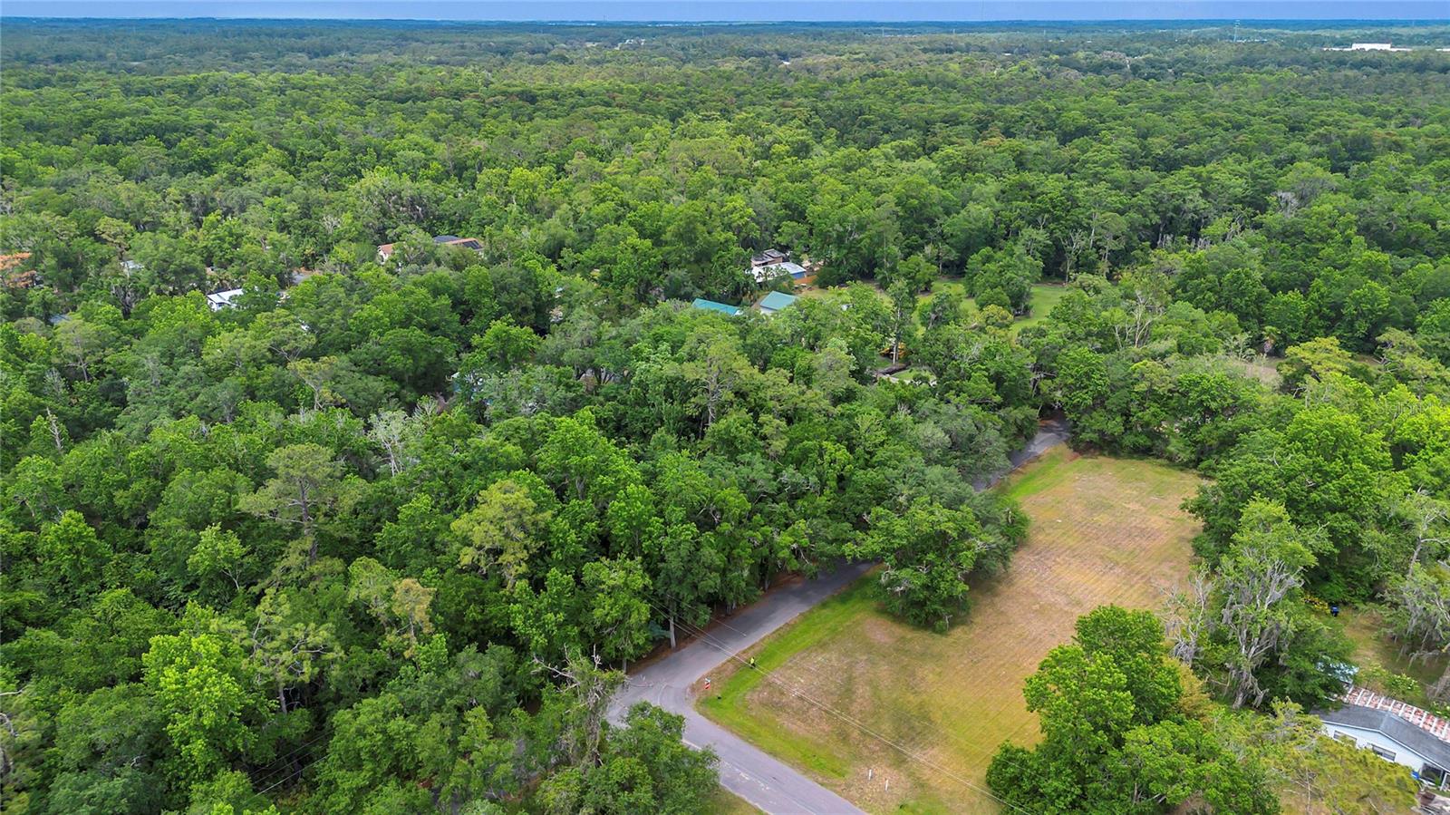 1002 BUIST ST, ORLANDO, FL, 32828