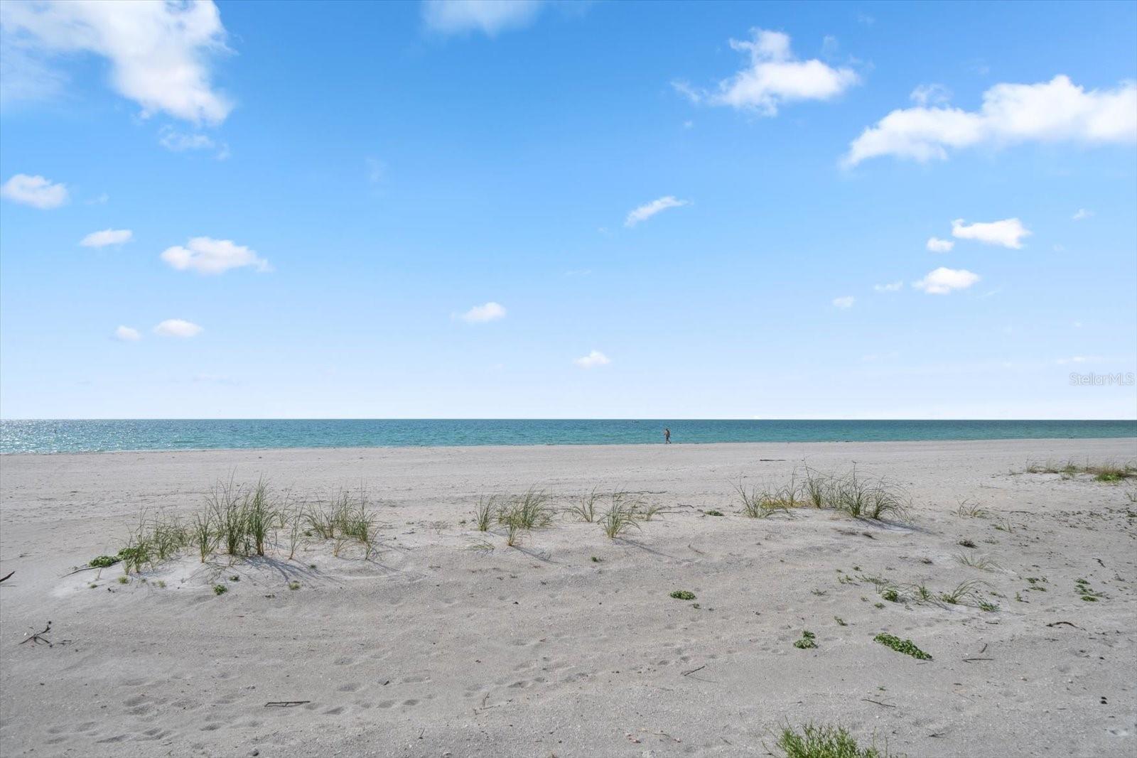 1400 GULF BLVD #804, CLEARWATER BEACH, FL, 33767