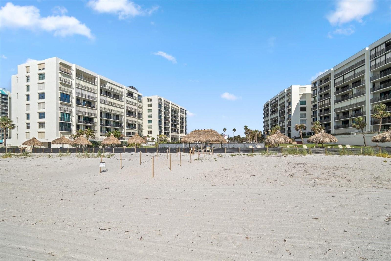 1400 GULF BLVD #804, CLEARWATER BEACH, FL, 33767
