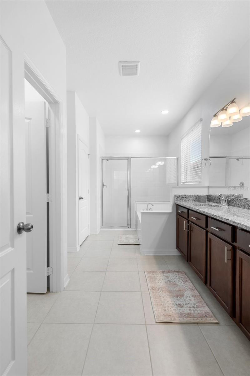 17199 HICKORY WIND DR, CLERMONT, FL, 34711