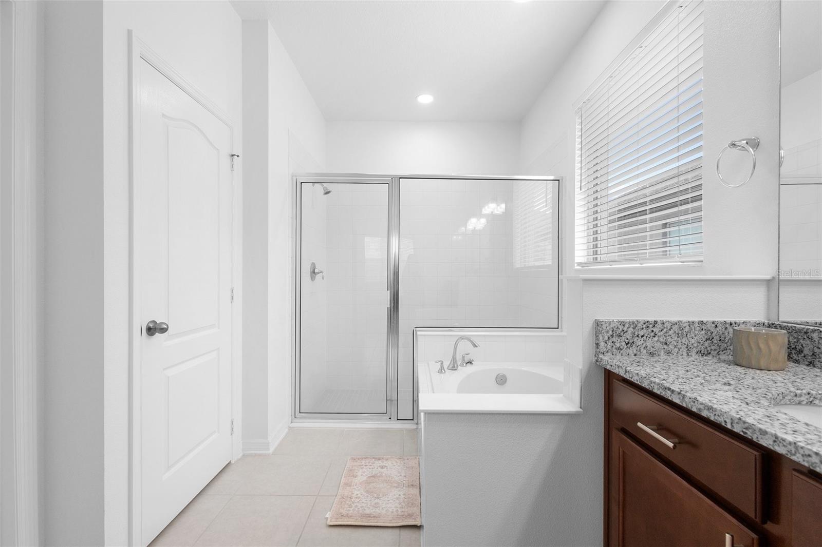 17199 HICKORY WIND DR, CLERMONT, FL, 34711