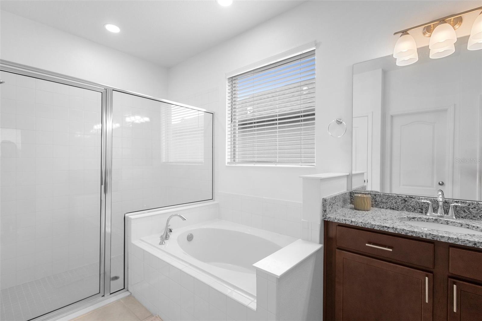 17199 HICKORY WIND DR, CLERMONT, FL, 34711