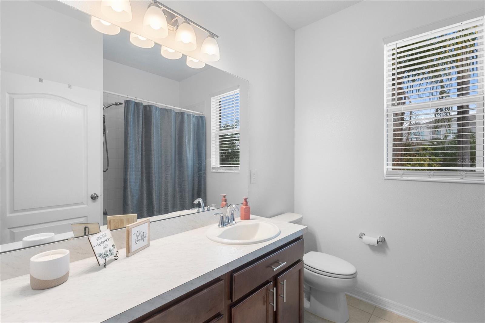 17199 HICKORY WIND DR, CLERMONT, FL, 34711