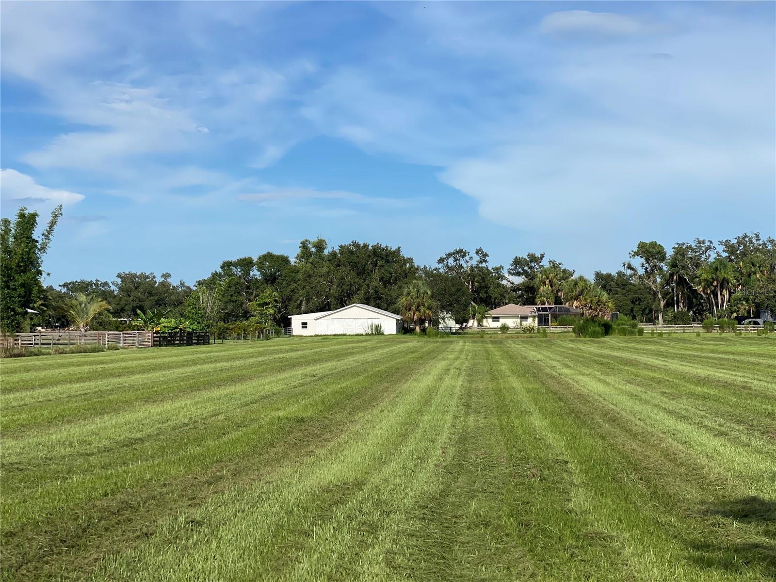 N6138825 Property Photo