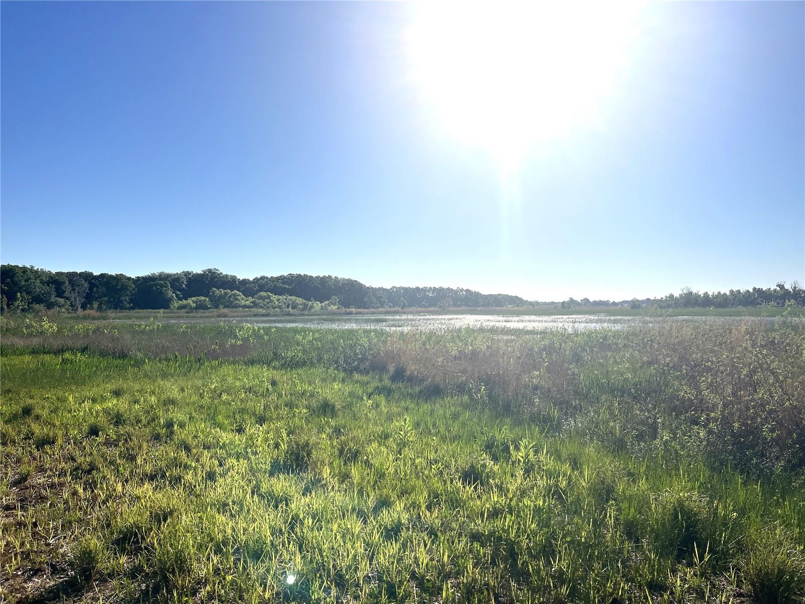 9722 KENTON RD, WESLEY CHAPEL, FL, 33545