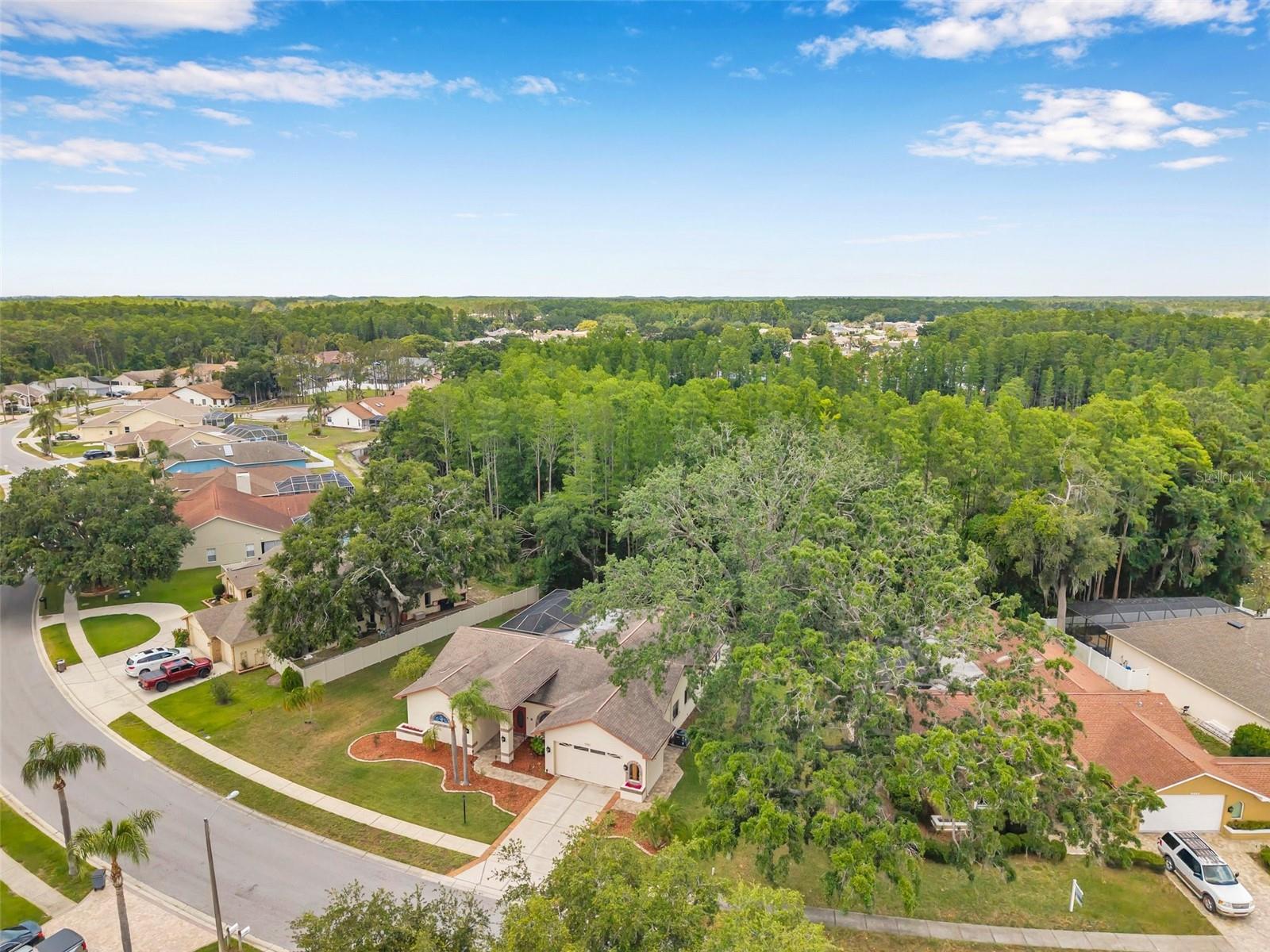 9757 HERMOSILLO DR, NEW PORT RICHEY, FL, 34655