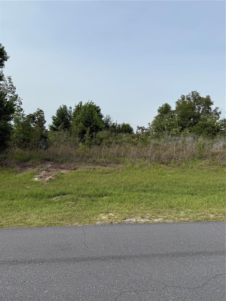 TBD SW 129TH LANE, OCALA, FL, 34473